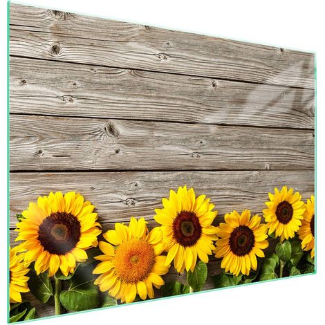 Plaque de protection en verre pour poêle à bois 70x52 (1/5)