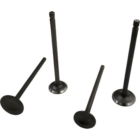 Motorcycle engine valves, compatible with Bajaj Discover 125 St/M 150 S valve stem seals