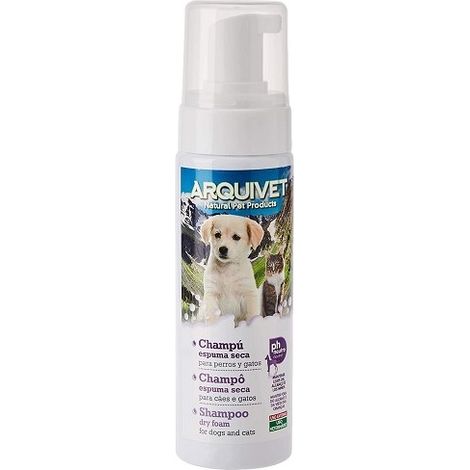 CHAMPU ESPUMA SECA 200ml.Arquifresh