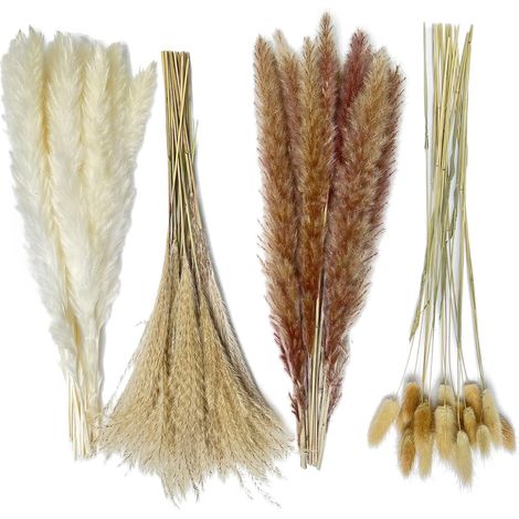 Herbes de la pampa séchées naturelles (80 pièces de 42,5 cm : 15 blanches, 15 brunes, 30 roseaux, 20 queues de lapin), bouquet de fleurs séchées pour la maison, les mariages et la décoration bohème. (1/5)