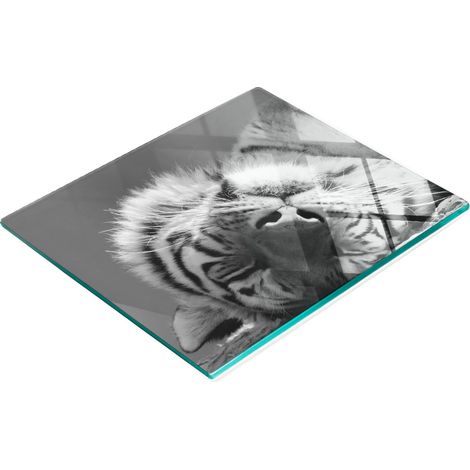 Vassoio decorativo in vetro per snack, con stampa tigre addormentata, 60x52 cm. (1/5)