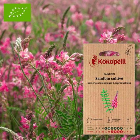 Sainfoin Cultivé- Graines bio à semer