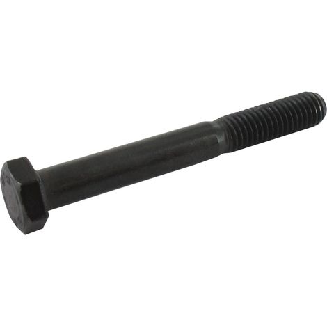 Vis héxagonale 8 x 65 mm GGP - CASTELGARDEN 112691900/0