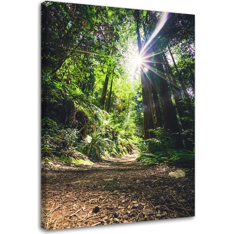 Tableau sur toile Jungle Forêt Nature Vert 40x60 (1/5)