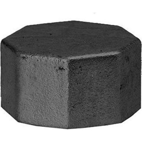 Hermann Schmidt Temperguss 300 bouchon 14300025 DN 25, 2000 ", bordé, noir