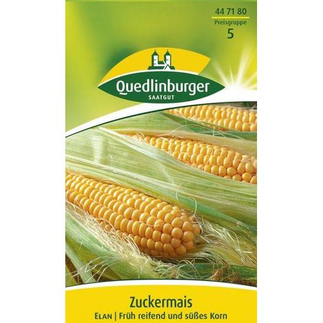 Quedlinburger Zuckermais Elan - Gemüsesamen