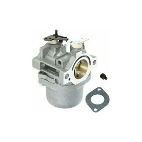 Carburateur Compatible Briggs & Stratton 799728 498027 12-12.5HP (1/4)