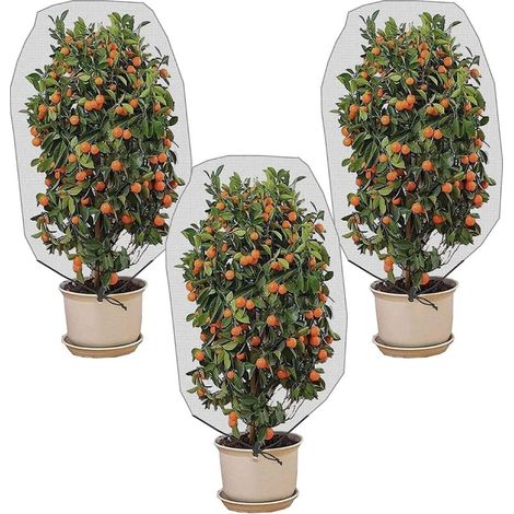 YMYNY Filet de Protection Fruitier,3 Pièces Sac de Plantes Anti-Insectes Couverture,Maille Fine Maille150X100CM (1/4)