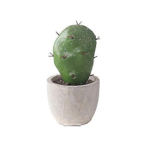 Plantes artificielles succulentes, cactus et mini-plantes artificielles en pot. (1/4)
