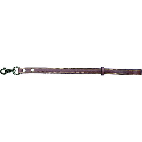 GUINZAGLIO PER CANE larg. mm 18 lung.cm 50