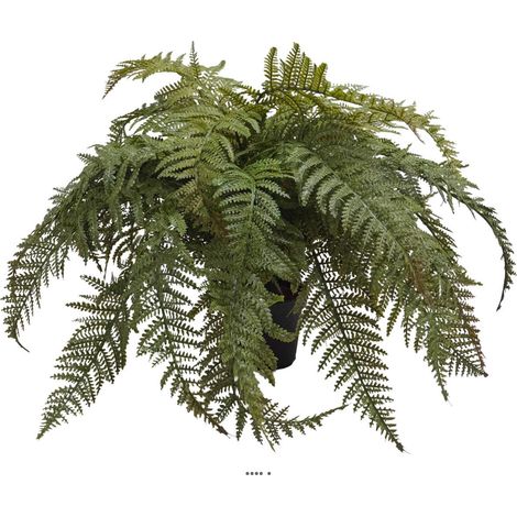 Fougère des forets artificielle en pot, H 40 cm, D 68 cm feuillage en plastique (1/3)