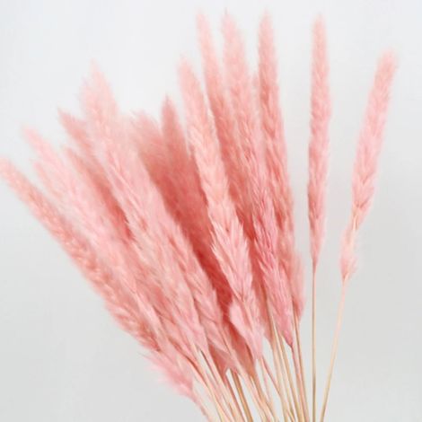 Pampas Grass - Natural Dried Reed Stems - 40 to 68 cm - Boho Home Wedding Decoration - 15 Pieces