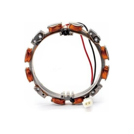 Alternatore 393474 - 393800 - 691063 - 696459 BRIGGS et STRATTON