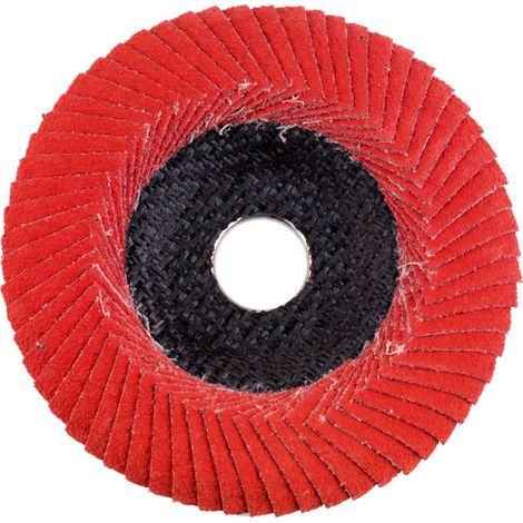 Metabo - Plateau abrasif à lamelles, P80, 125 mm 626461000 (1/2)
