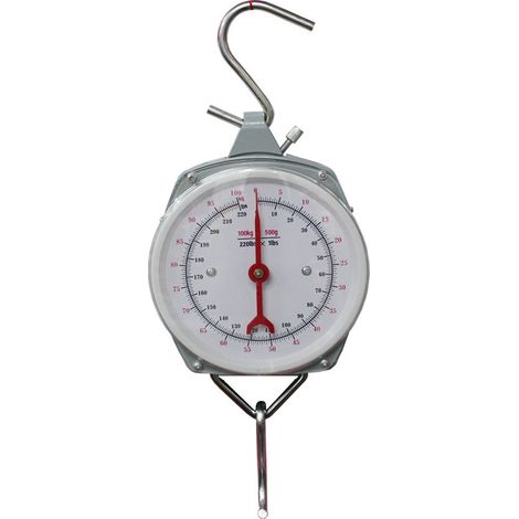 Professional 200 kg hanging scale crane scale loading scale scale scale scale of industrial scale First (1/5)