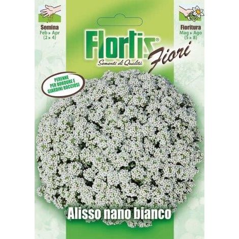 ALISSO NANO BIANCO