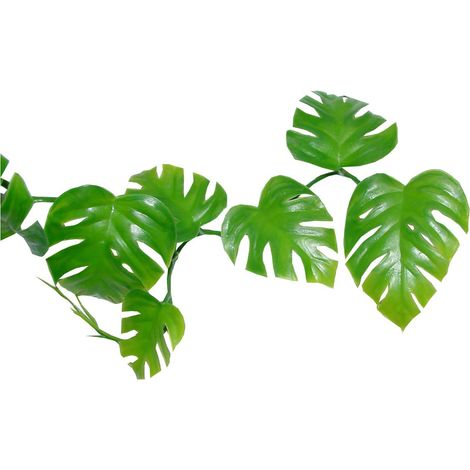 Lucky Reptile - Pothos Ranke (1/2)
