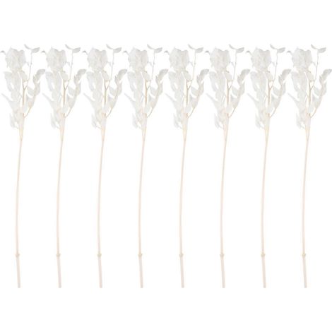Fleurs de ruscus séchées de 45 cm, stabilisées à vie, pour la décoration florale à faire soi-même, bouquet de fleurs séchées pour mariage et décoration intérieure (1/5)