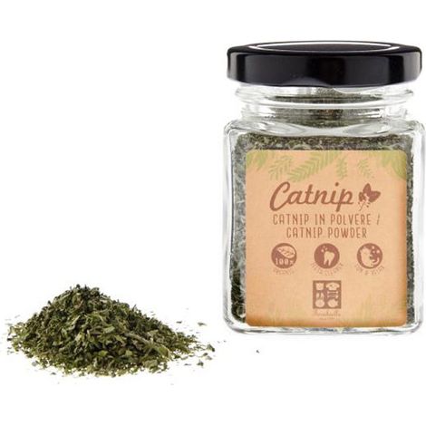 Catnip in polvere per gatti 6 barattoli da 10 g ciasuno