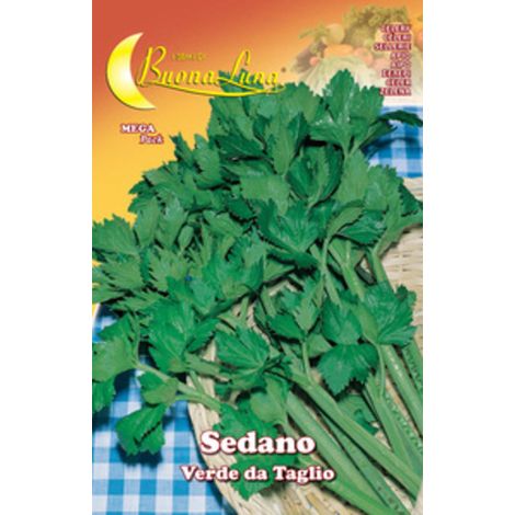 10PZ SEMI ORTO SEDANO VERDE DA TAGLIO (1/2)