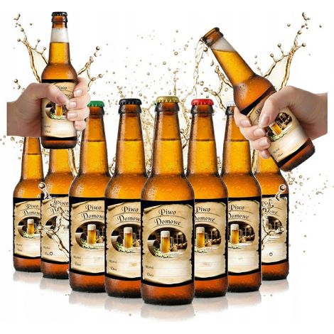 Juego de 10 botellas de cuello largo de 0,33 L para cerveza, sidra y etiquetas de cerveza.