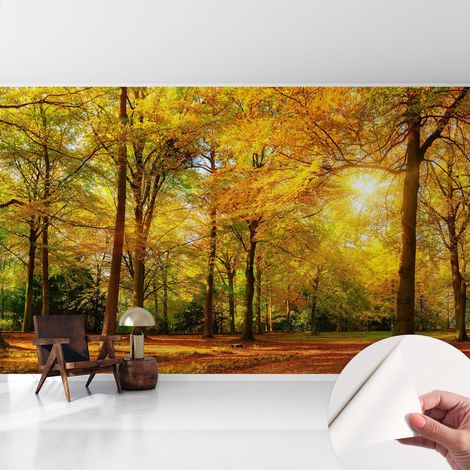 Carta da parati adesiva - lavabile - decorazione murale - per cucina - pellicola decorativa Foglie dorate 416x254 cm (1/5)