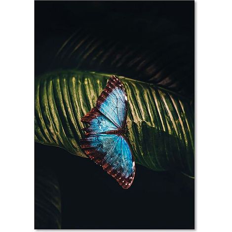 Tableau papillon sur une feuille - 40 x 50 cm