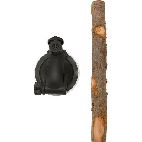 Perchoir en bois pour perroquet, support de fenêtre interactif pour oiseaux, anti-glissement, avec ventouses, pour petits et moyens 20cm/7,9 pouces (1/5)