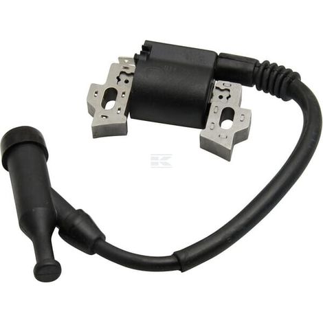 Magnéto d'allumage BRIGGS & STRATTON 797343WM (1/3)