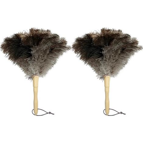 Lot de 2 plumeaux en plumes d'autruche – Manche en bois – 30 cm – Anti-statique – Pour dépoussiérage des coins et bibliothèques (1/5)