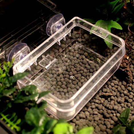 Abreuvoir anti-fugue pour amphibiens et reptiles, mangeoire pour vers, bassine pour tortues et lézards rampants (1/5)