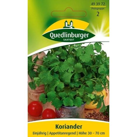 Quedlinburger Koriander Einjährig - Kräutersamen (1/2)