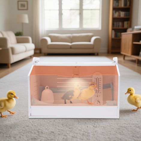 YISSALE - Incubateur à couveuse pour poussins – Thermomètre et lampe – PVC transparent – 48 x 30 x 30 cm – Pour reptiles et petits animaux (1/5)