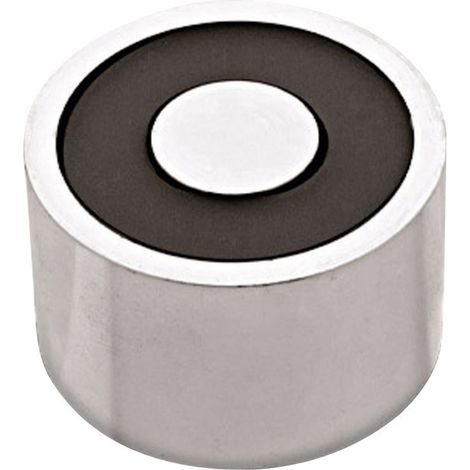 RED MAGNETICS Elektromagnet magnetisch (stromloser Zustand) 300 N 12 V/DC 28 W ITS-PE3529-12VDC