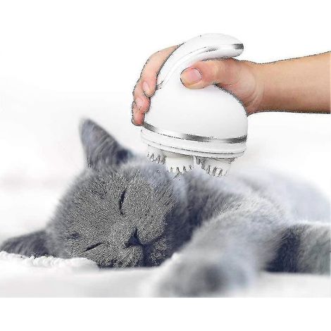 Masseur électrique pour animaux, masseur de tête pour chat, masseur électrique pour animaux (1/5)