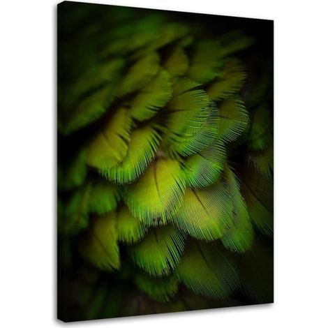 Tableau sur toile Plumes Nature Vert 40x60 (1/5)