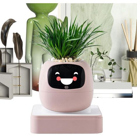 Blumentopf Pflanzgefäße mit intelligentem KI für Haustiere (1/5)