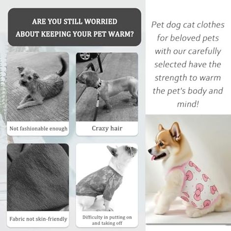 Ensemble 2 pièces pour chien, vêtements doux et respirants pour chat, t-shirt d'été pour chien avec pince à cheveux et lunettes de soleil pour petits animaux, idéal pour les vacances à la plage (L) (1/3)