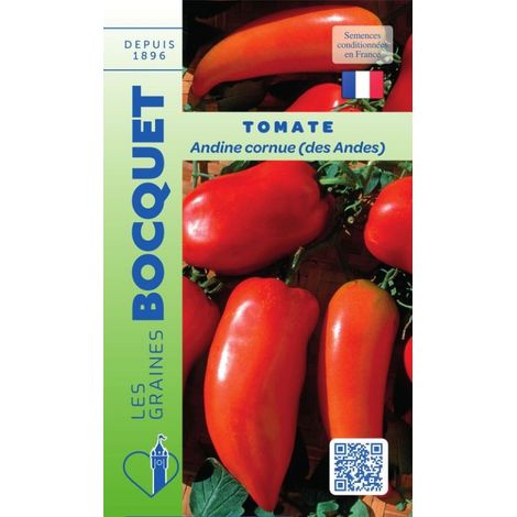 Tomate Andine Cornue – Graines non hybrides – Semis en février-mars – Fruits allongés 80-150g – Chair juteuse et parfumée – Graines Bocquet