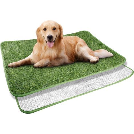 Bac à Litière pour Chien - Gazon Artificiel 50 x 70 cm - Tapis d'Entraînement pour Chiot - Lavable et Imperméable - Pour la Maison (1/5)