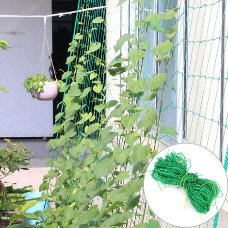Filet de soutien pour plantes grimpantes de jardin 3,6 x 1,8 m - Treillis de croissance végétale (1/5)