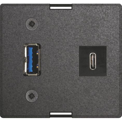 EVOline Wechselmodul USB C & A + Netzteil passend zu Einbausteckdosen, schwarz (1/4)