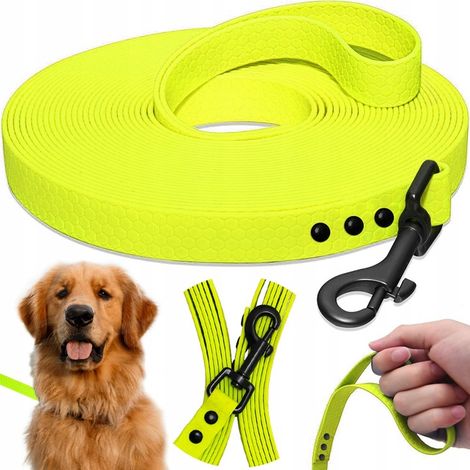 Laisse de dressage pour chien, ruban adhésif résistant, corde en PVC Biothane de 10 m