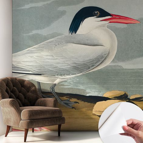 Papier peint autocollant adhésif décoratif avec motifs pour salon et chambre a motif Paysage marin 250x250 cm (1/5)