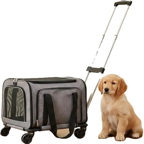 Mochila para mascotas, diseño plegable, tejido resistente, color gris. (1/2)