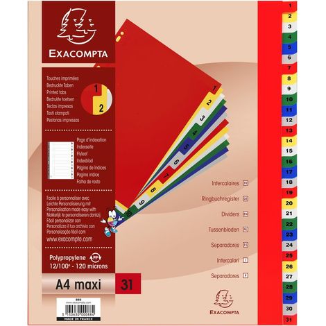 Exacompta - Rif. 88E - Cartone da 20 divisori in polipropilene con 31 linguette stampate digitali da 1 a 31 a colori - Pagina di indicizzazione stampabile - per A4 maxi - Dim 24,5 x 29,7 cm (1/3)
