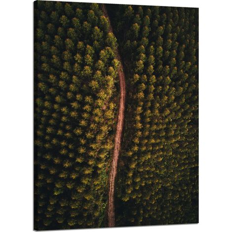 Leinwanddruck Naturstraße aus der Vogelperspektive 50x70