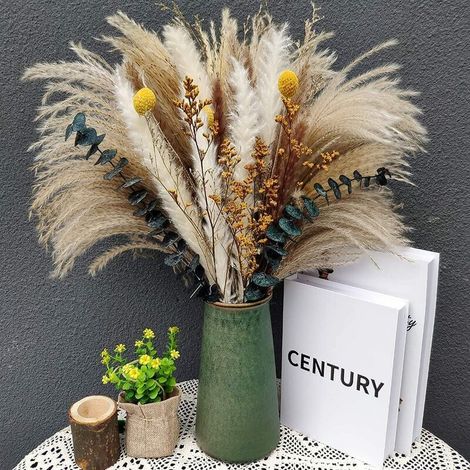Fleurs séchées herbe de pampa 46 cm – Arrangement de 60 pièces naturelles – Décoration intérieure élégante – Parfait pour vases décoratifs - Pampa-7 (1/5)