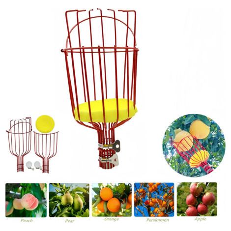 Cueilleur de fruits, tête de ramassage de fruits, bâton de ramassage en métal, outils de jardinage pour arbres fruitiers, sans perche télescopique(rouge) (1/5)