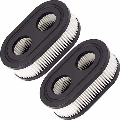 Filtre A Air - Pour Moteurs Tondeuse Briggs Et Stratton Serie 550E 500EX 550EX 625 575EX - Lot De 2 (1/5)